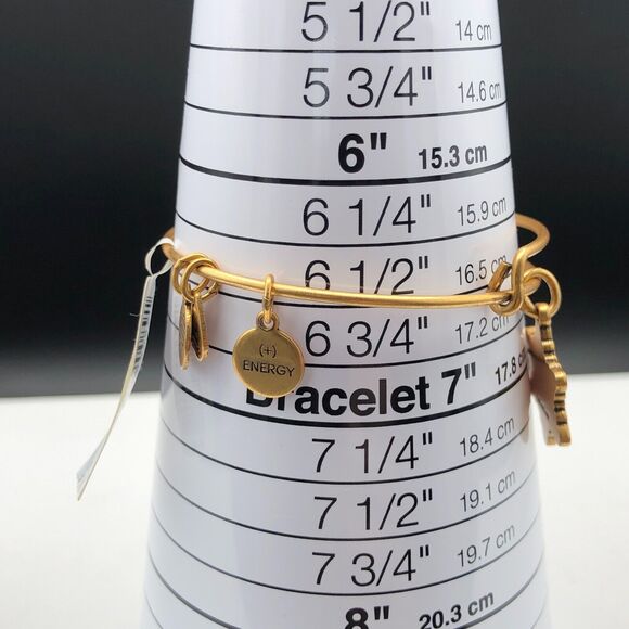 Alex and Ani Bracelet SNOWFLAKE PEARL INFUSION Charm Rafaelian Gold Bangle NWT - Picture 8 of 8